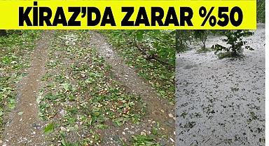 Dolu kiraz ve kayısı bahçelerini vurdu