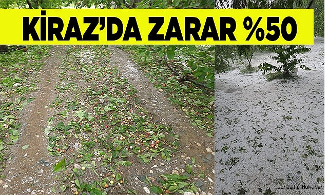 Dolu kiraz ve kayısı bahçelerini vurdu