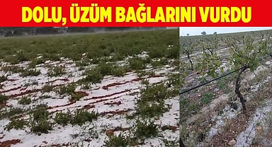 Dolu, üzüm bağlarını vurdu