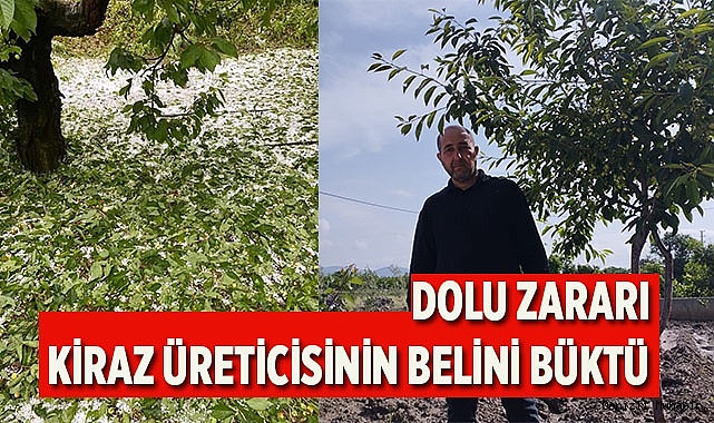 Dolu zararı kiraz üreticisinin belini büktü