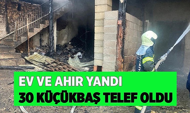 Evlerin ve ahırın küle döndüğü yangında 30 küçükbaş telef oldu