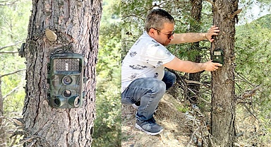 Fotokapanlar yaban hayatını korumak için kuruldu