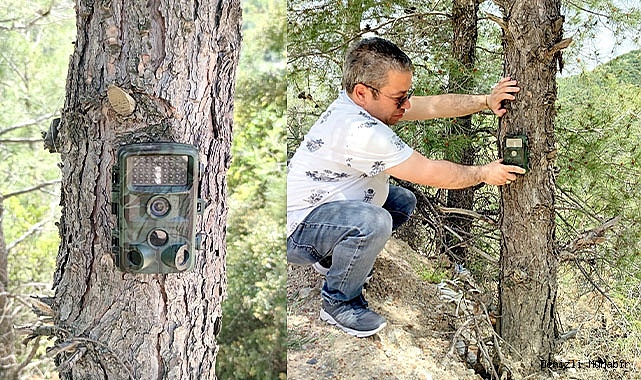 Fotokapanlar yaban hayatını korumak için kuruldu