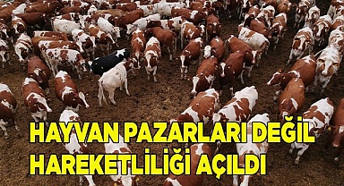Hayvan pazarları değil hareketliliği açıldı