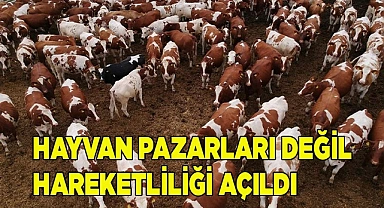 Hayvan pazarları değil hareketliliği açıldı