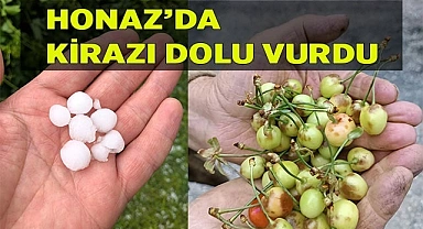 Honaz Kiraz’ını dolu vurdu