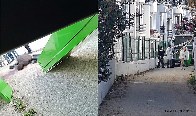 Kafasından vurularak öldürüldü