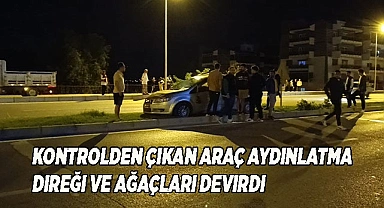 Kontrolden çıkan araç aydınlatma direği ve ağaçları devirdi