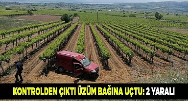 Kontrolden çıktı üzüm bağına uçtu: 2 yaralı