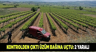 Kontrolden çıktı üzüm bağına uçtu: 2 yaralı
