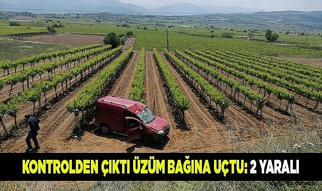 Kontrolden çıktı üzüm bağına uçtu: 2 yaralı