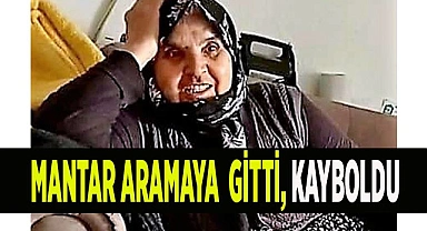 Mantar aramaya giden yaşlı kadın kayboldu