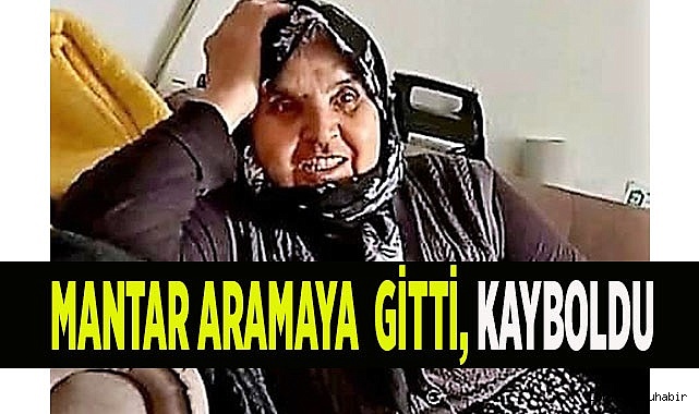 Mantar aramaya giden yaşlı kadın kayboldu