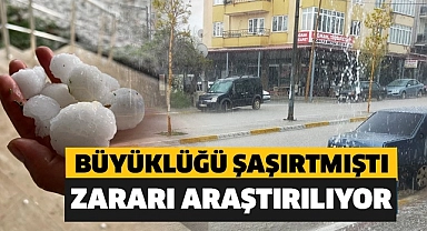 Milyonluk hasardan sonra şimdi ekili araziler araştırılıyor