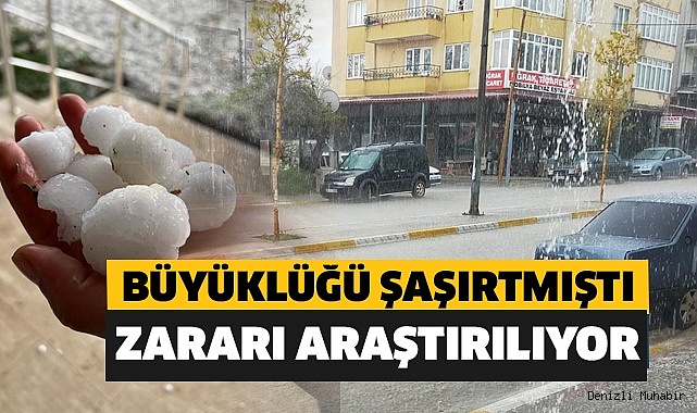 Milyonluk hasardan sonra şimdi ekili araziler araştırılıyor