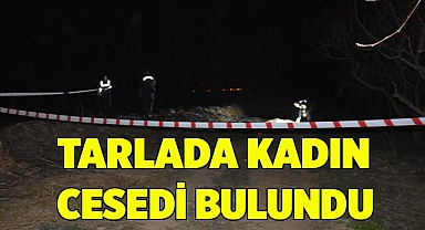 Tarlada kadın cesedi bulundu