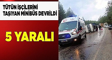 Tütün işçilerini taşıyan minibüs devrildi: 5 yaralı