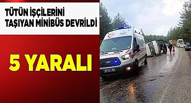 Tütün işçilerini taşıyan minibüs devrildi: 5 yaralı
