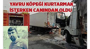 Yola çıkan yavru köpeği kurtarmak isterken canından oldu
