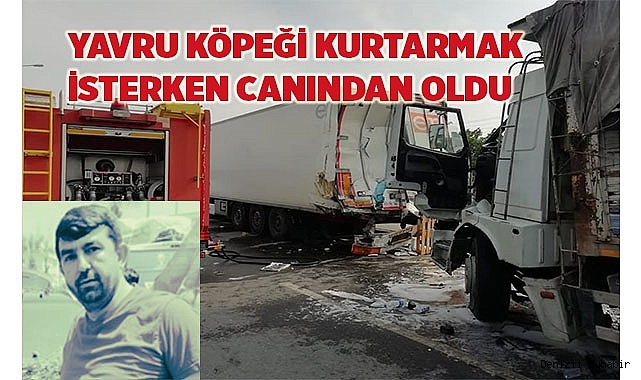 Yola çıkan yavru köpeği kurtarmak isterken canından oldu