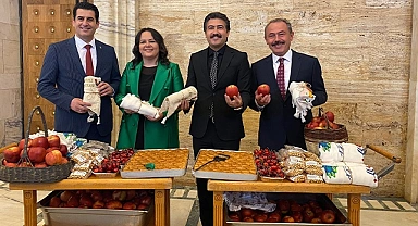 AK Partili vekiller, Meclis kaydına Denizli’nin değerleriyle gitti
