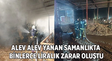 Alev alev yanan samanlıkta binlerce liralık zarar oluştu