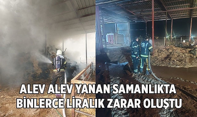 Alev alev yanan samanlıkta binlerce liralık zarar oluştu