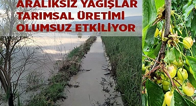 Aralıksız yağışlar tarımsal üretimi olumsuz etkiliyor