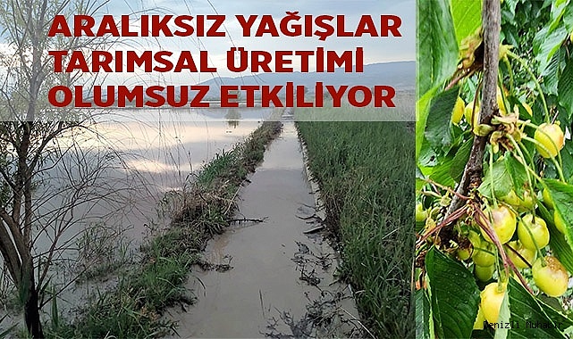 Aralıksız yağışlar tarımsal üretimi olumsuz etkiliyor