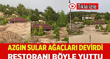 Azgın sular ağaçları devirip önüne çıkan restoranı böyle yuttu