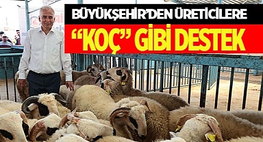Büyükşehir’den üreticilere “KOÇ” gibi destek