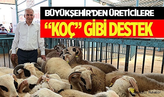 Büyükşehir’den üreticilere “KOÇ” gibi destek