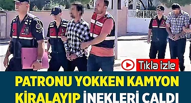 Çaldığı 28 büyükbaş hayvanı 3.5 milyon liraya sattı