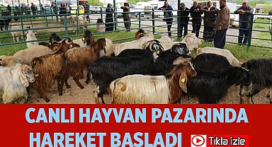 Canlı hayvan pazarında hareket başladı