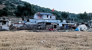 Çiftlik evinde korkunç cinayet