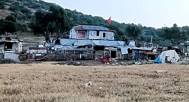 Çiftlik evinde korkunç cinayet