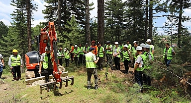 Denizli'de yeni ormanlar planlı olarak kuruluyor
