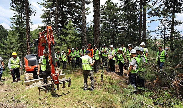 Denizli'de yeni ormanlar planlı olarak kuruluyor