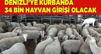 Denizli’ye kurbanda 34 bin hayvan girişi olacak
