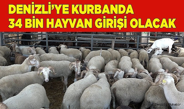 Denizli’ye kurbanda 34 bin hayvan girişi olacak