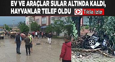 Ev ve araçlar sular altında kaldı, hayvanlar telef oldu