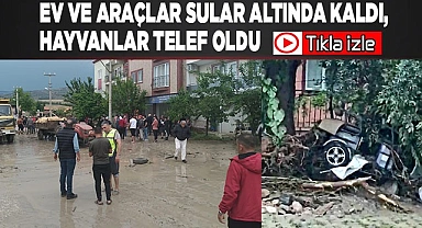 Ev ve araçlar sular altında kaldı, hayvanlar telef oldu