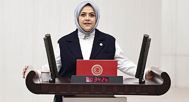Gelecek Partisi tek komisyon üyesi hakkını Denizli Milletvekili Ün’den yana kullandı