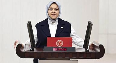 Gelecek Partisi tek komisyon üyesi hakkını Denizli Milletvekili Ün’den yana kullandı