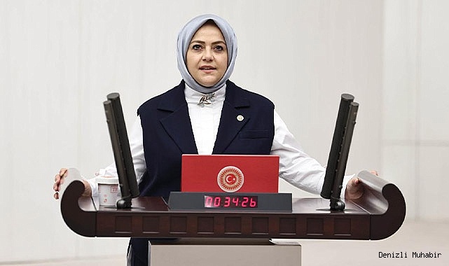 Gelecek Partisi tek komisyon üyesi hakkını Denizli Milletvekili Ün’den yana kullandı