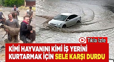 Kimi hayvanını kimi iş yerini kurtarmak için sele karşı durdu
