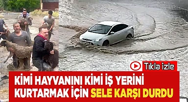 Kimi hayvanını kimi iş yerini kurtarmak için sele karşı durdu