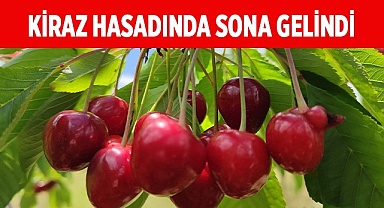 Kiraz hasadında sona gelindi