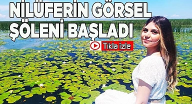 Nilüferin görsel şöleni başladı