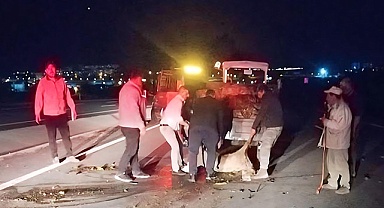 Otomobilin çarptığı koyun sürüsünde 18 koyun telef oldu